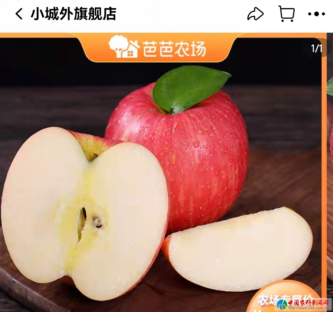 图片3