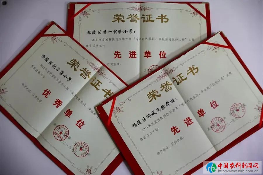 微信图片_20211123161225