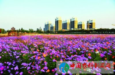 微信图片_20211126101707