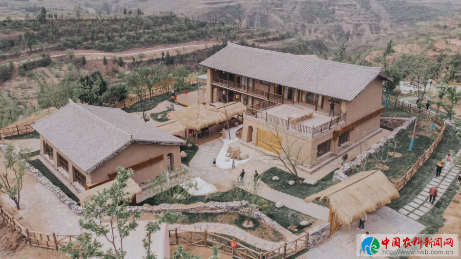 图片4