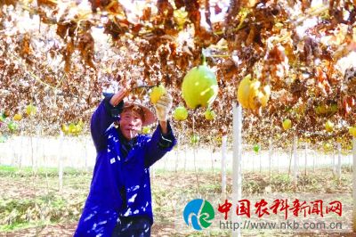 微信图片_20211220163008