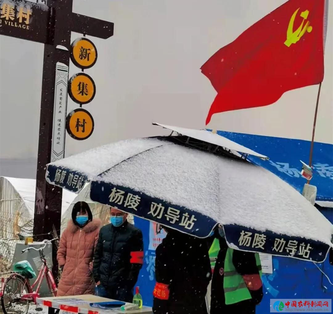 微信图片_20211227103551