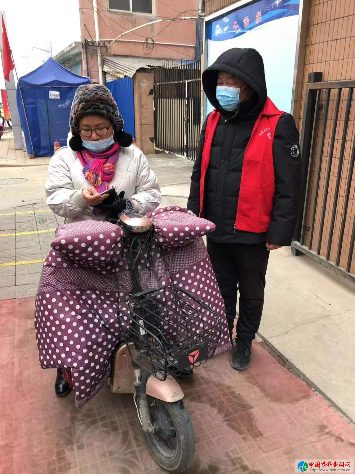 图片4