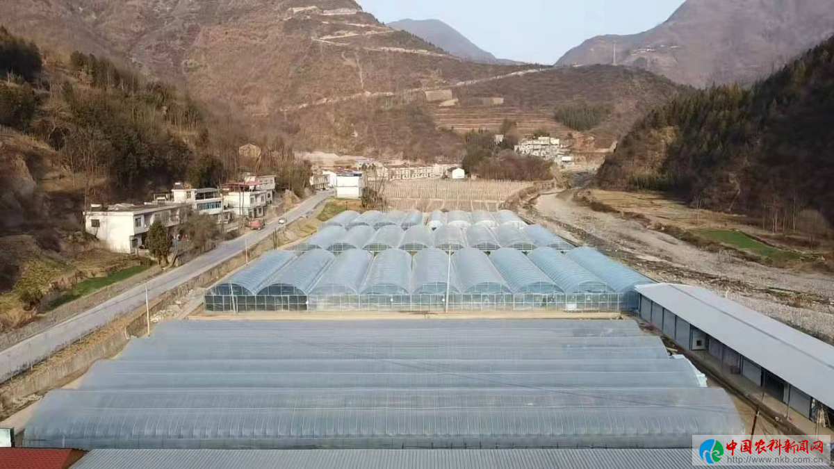 图片9