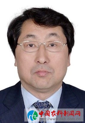 姚军虎