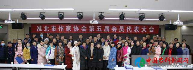 图片4