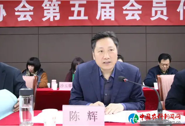 图片7