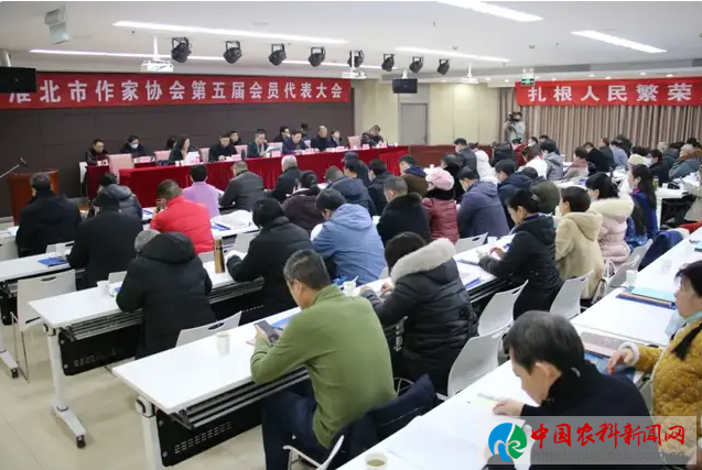 图片9