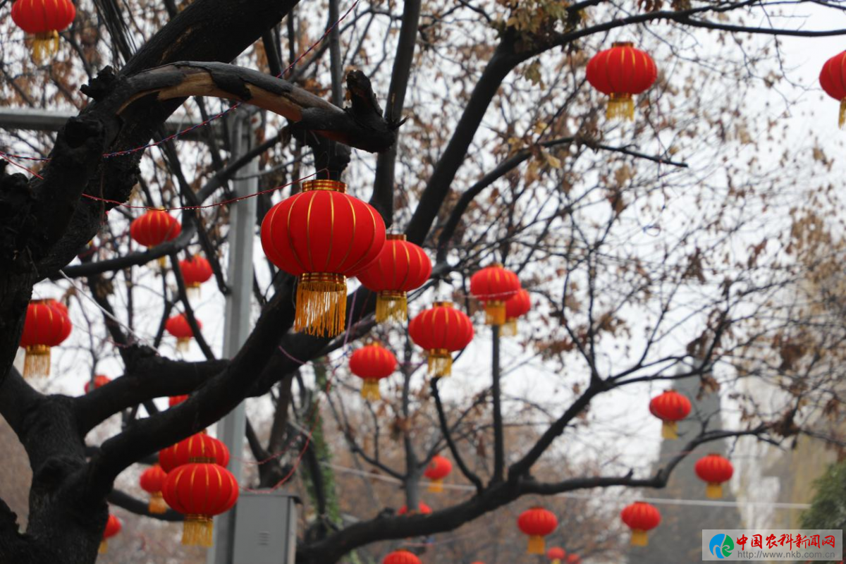 图片5