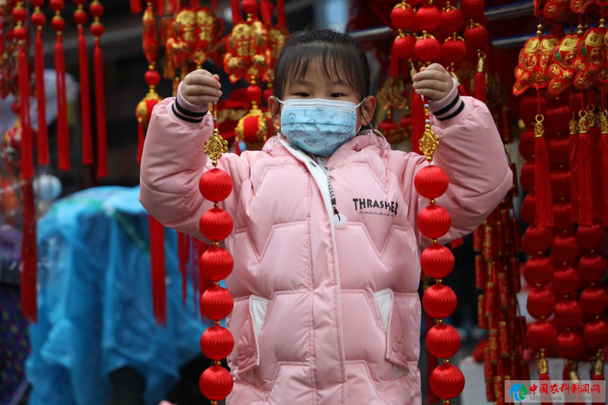 图片6