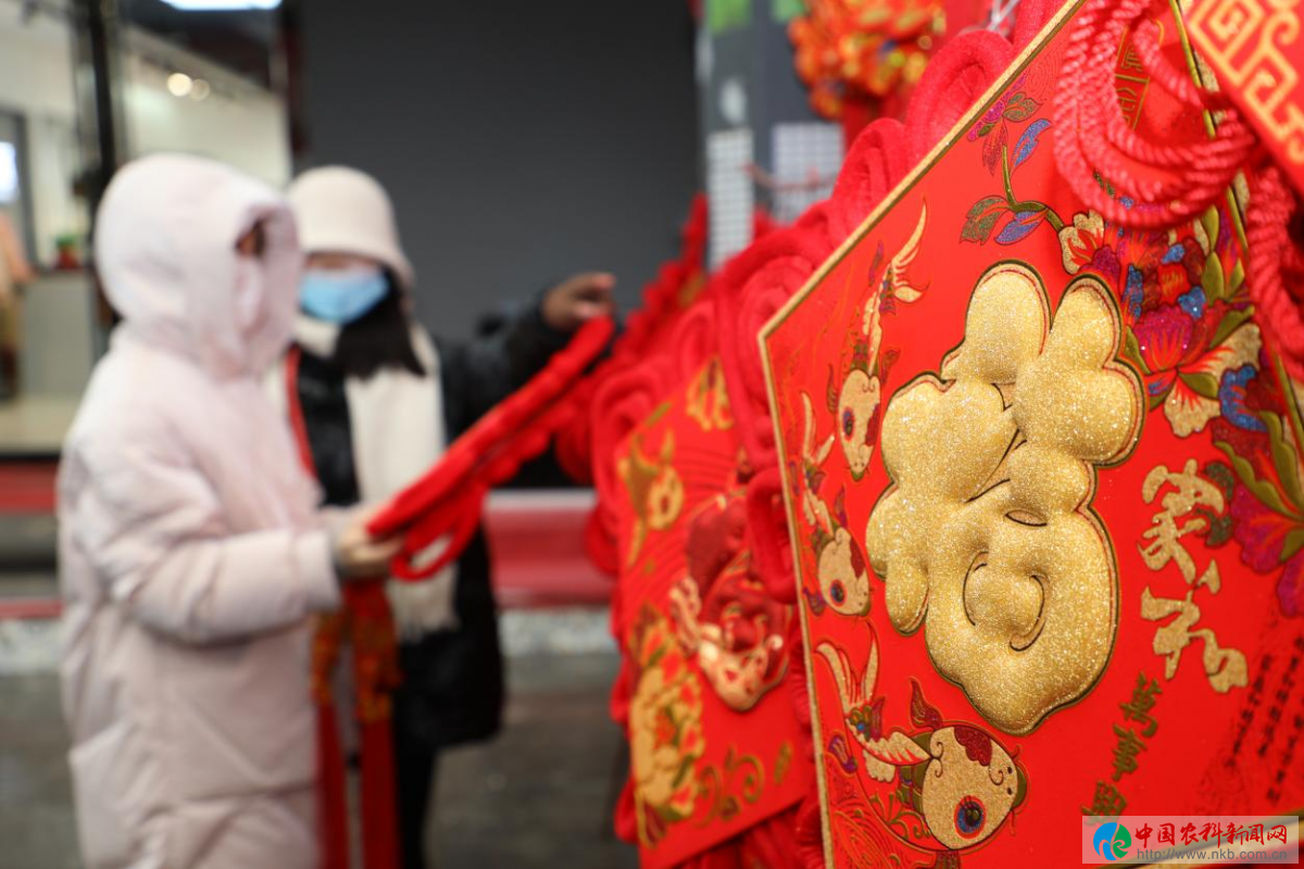 图片7