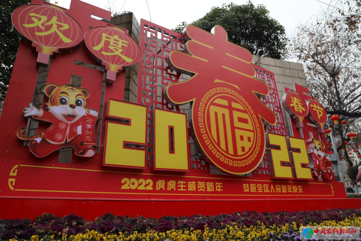 图片8