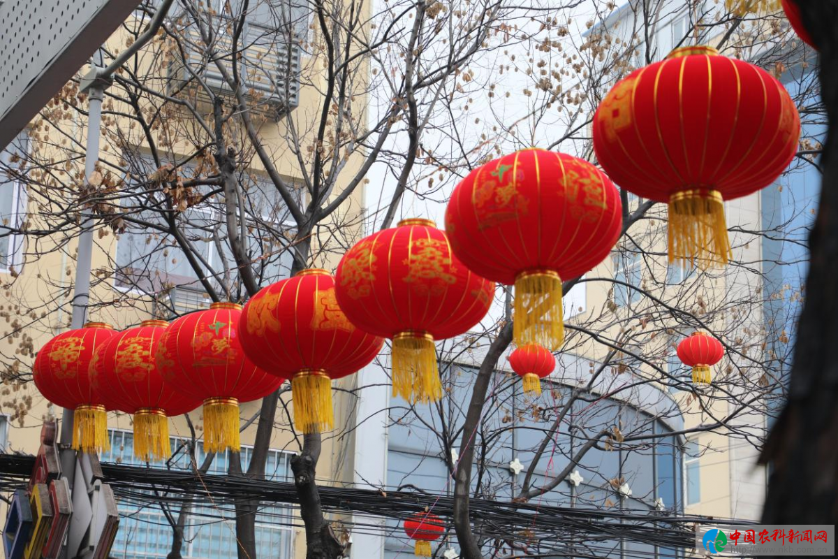 图片10