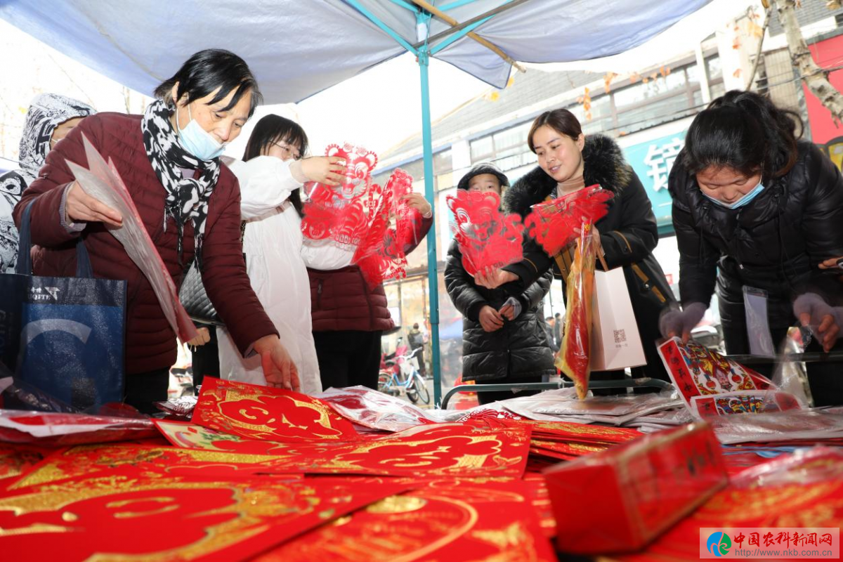 图片12