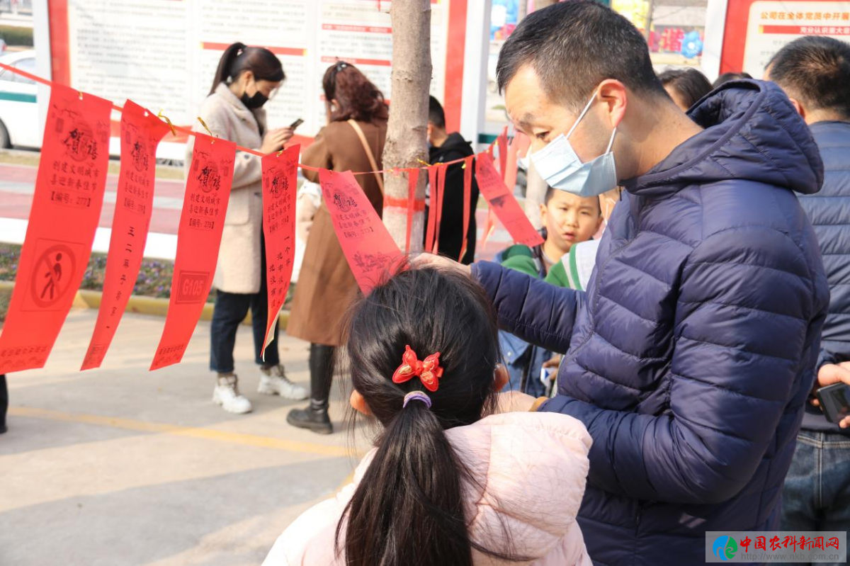 图片7