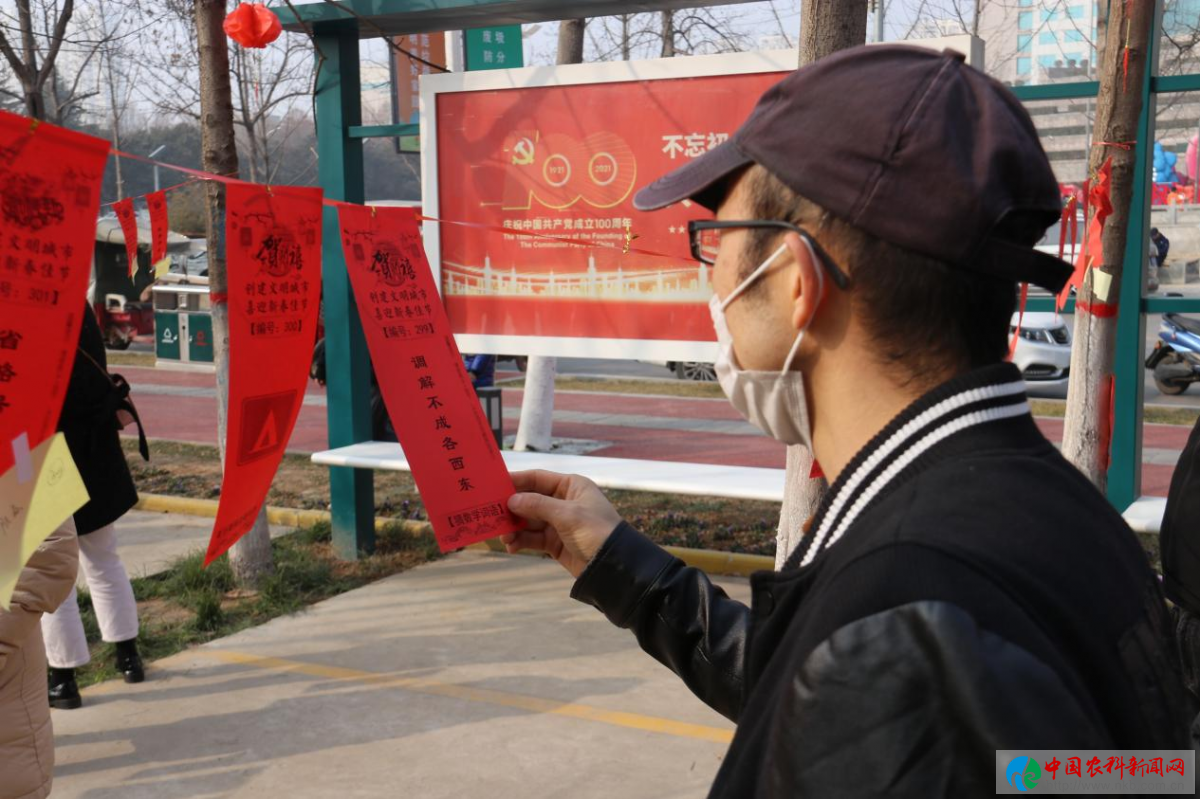 图片11