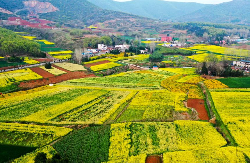 種下好風(fēng)景，收獲幸福感。靳丹淅攝