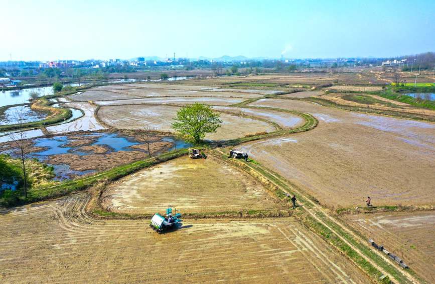 田間地頭春耕忙。謝萬柏攝