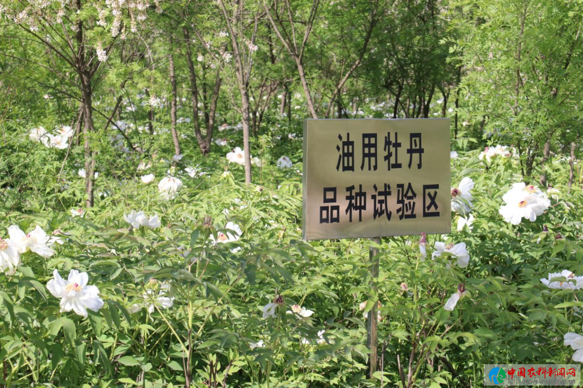 图片6