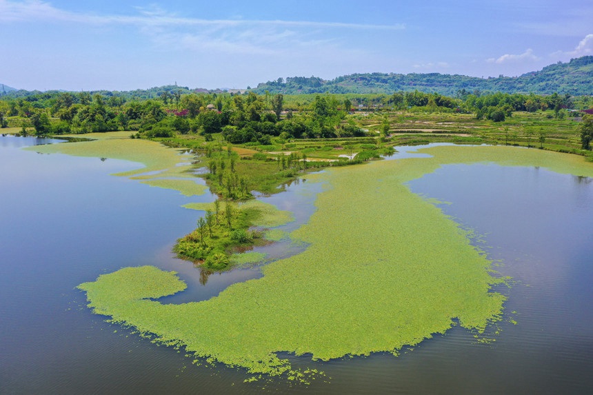 雙桂湖美景。余先懷攝