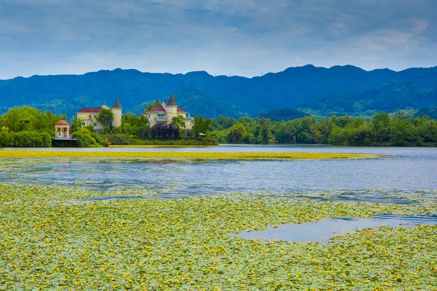 雙桂湖美景。華文峰攝