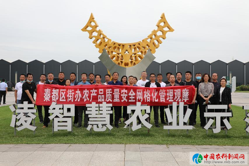 图片6