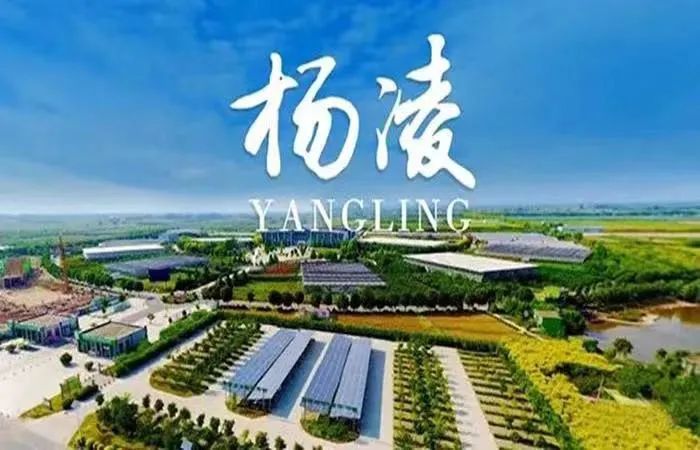 微信图片_20220606111957