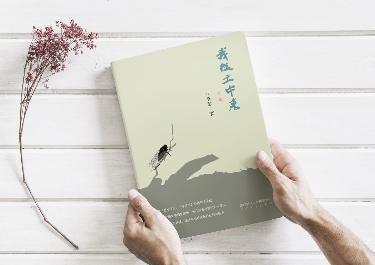 《我从土中来》样机一