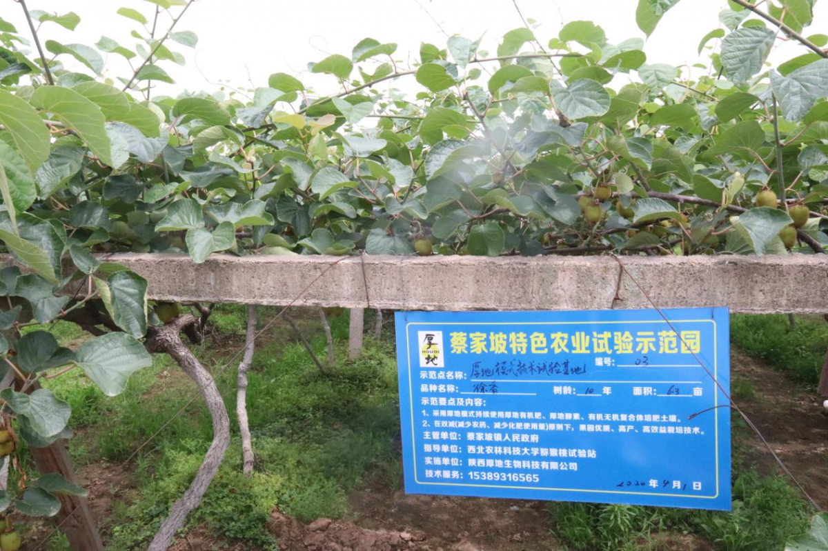 图片11