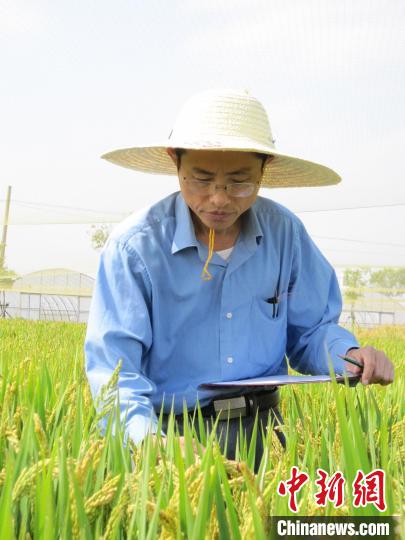 中國科學(xué)院院士林鴻宣 中科院分子植物科學(xué)卓越創(chuàng)新中心 供圖